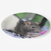 Assiettes En Carton Lil rat (Angle)
