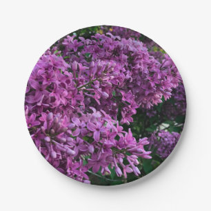 Assiettes En Carton lilas rose violet photo florale rose romantique