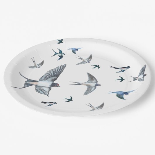 Assiettes En Carton L'Illustration De L'Avalière Volante (Angle)