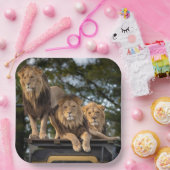 Assiettes En Carton Lion (Fête)