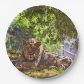 ASSIETTES EN CARTON LION (Devant)