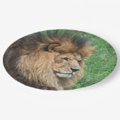 Assiettes En Carton Lion 001 (Angle)