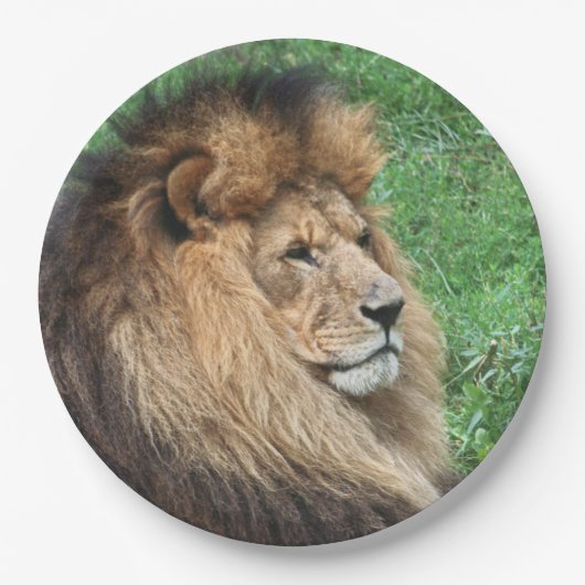 Assiettes En Carton Lion 001 (Devant)