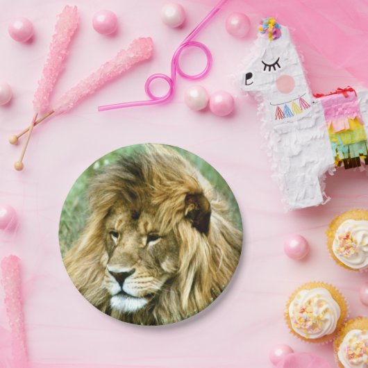 Assiettes En Carton Lion africain (Fête)