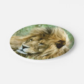 Assiettes En Carton Lion africain (Angle)