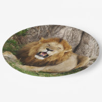 Lion au Massai Mara 1