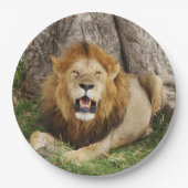 Assiettes En Carton Lion au Massai Mara 1 (Devant)