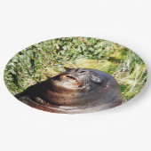 ASSIETTES EN CARTON LION DE MER (Angle)