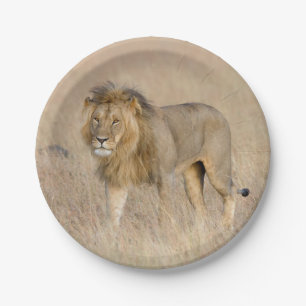 Assiettes En Carton Lion marche