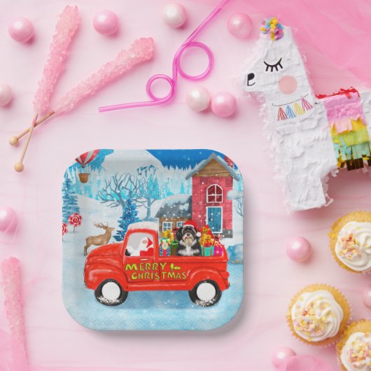 Assiettes En Carton Livraison de Noël de chien Havanais Camion neige (Fête)