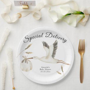 Assiettes En Carton Livraison spéciale aquarelle Baby Shower Cigogne