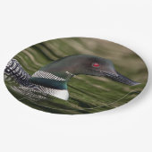 Assiettes En Carton Loin commun sur l'étang Jabe (Angle)