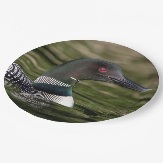 Assiettes En Carton Loin commun sur l'étang Jabe (Angle)