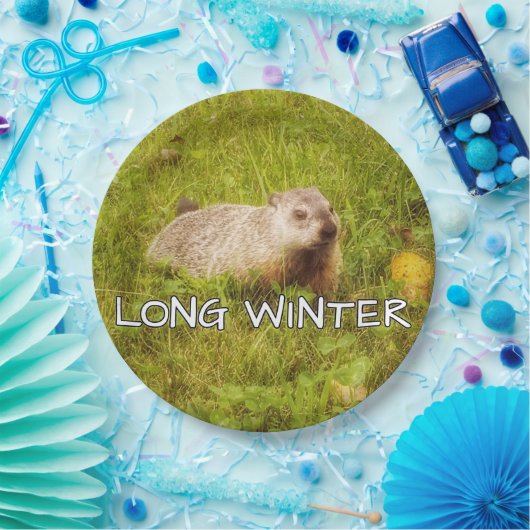 Assiettes En Carton Longue plaque d'hiver (Fête)