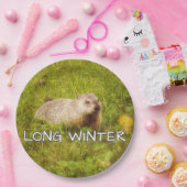 Assiettes En Carton Longue plaque d'hiver (Fête)