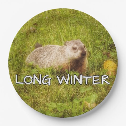 Assiettes En Carton Longue plaque d'hiver (Devant)