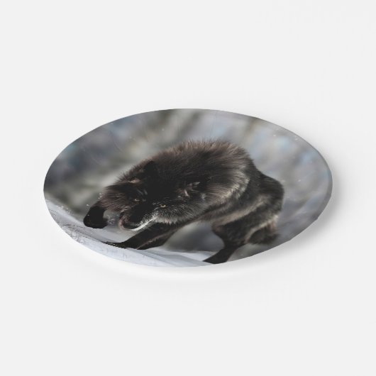 Assiettes En Carton Loup noir en colère (Angle)