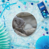 Assiettes En Carton Loutre adorable (Fête)