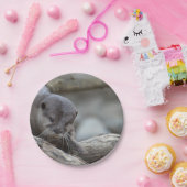 Assiettes En Carton Loutre adorable (Fête)