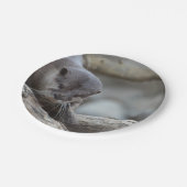 Assiettes En Carton Loutre adorable (Angle)