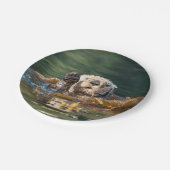 Assiettes En Carton Loutre de mer de ondulation (Angle)