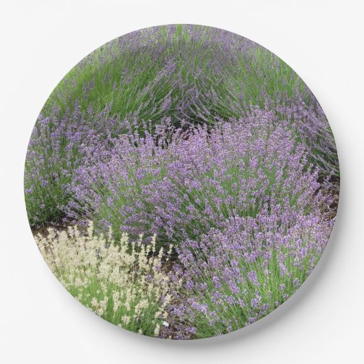 Assiettes En Carton Lovely Lavender (Devant)