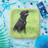 Assiettes En Carton LR - laboratoire noir (Fête)