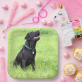 Assiettes En Carton LR - laboratoire noir (Fête)