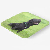 Assiettes En Carton LR - laboratoire noir (Angulaire)