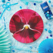 Assiettes En Carton Lucrezia (Fête)