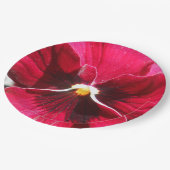 Assiettes En Carton Lucrezia (Angle)