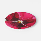 Assiettes En Carton Lucrezia (Angle)