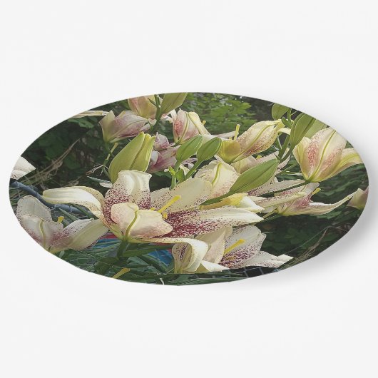 Assiettes En Carton Lys blancs (Angle)