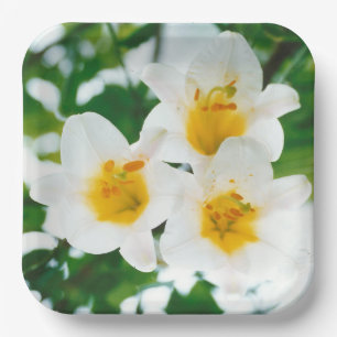 Assiettes En Carton Lys blancs - Lilium Flower candidum