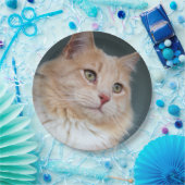 Assiettes En Carton M. Handsome (Fête)