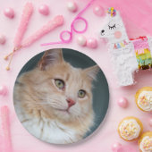 Assiettes En Carton M. Handsome (Fête)