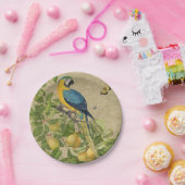 Assiettes En Carton Macaw Blue Jaune Tropical Jungle Antique (Fête)