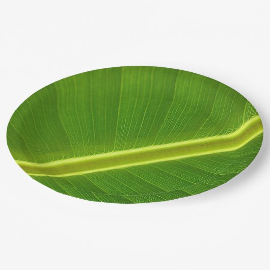 Assiettes En Carton Macro feuille banane (Angle)