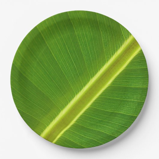 Assiettes En Carton Macro feuille banane (Devant)