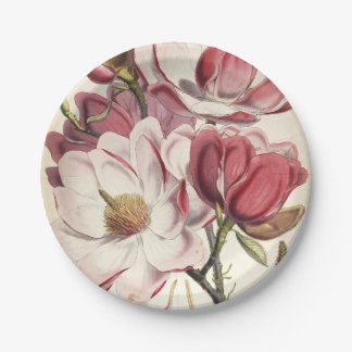 Assiettes En Carton Magnolia - Collection Botaniques