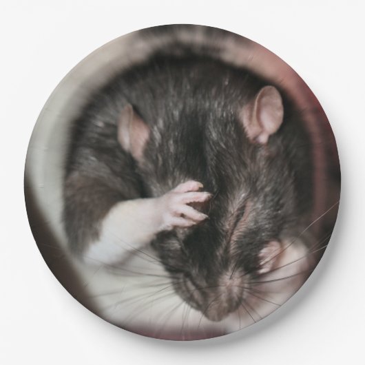 Assiettes En Carton Mal de tête ! (Devant)