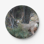 Assiettes En Carton Mâle de dent de cerfs communs de mule (Devant)