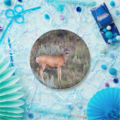 Assiettes En Carton Mâle de velours (Fête)