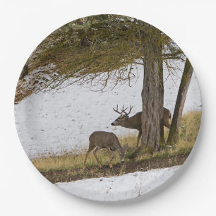 ASSIETTES EN CARTON MÂLE ET DAINE