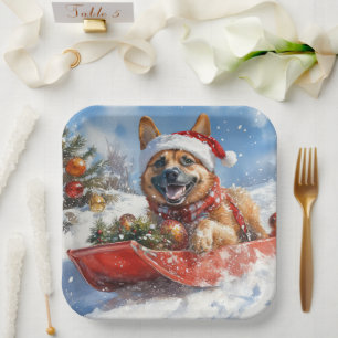 Assiettes En Carton Malinois belge dans un traîneau Laissez tomber la