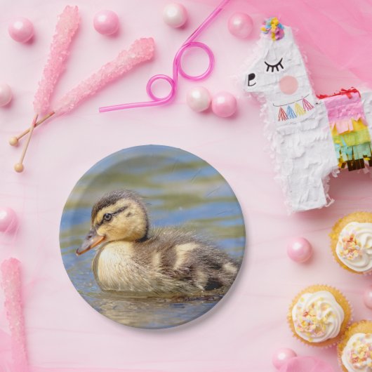Assiettes En Carton Mallard Duckling (Fête)