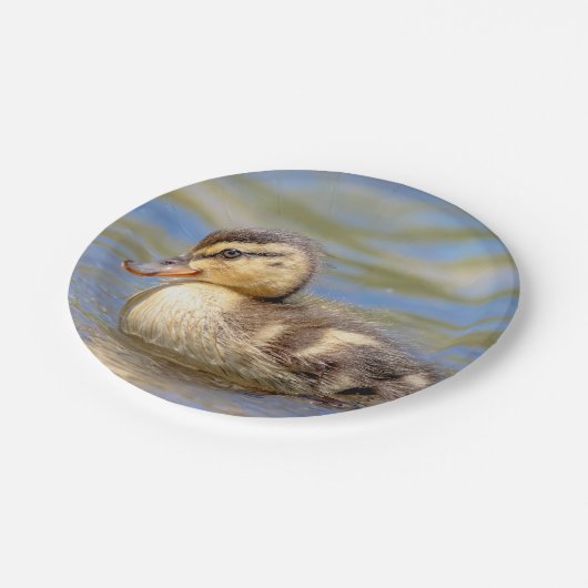 Assiettes En Carton Mallard Duckling (Angle)