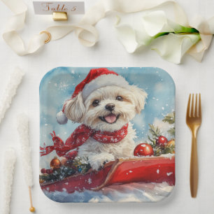 Assiettes En Carton Malti Tzu Dog dans la corniche Laissez-le neiger N