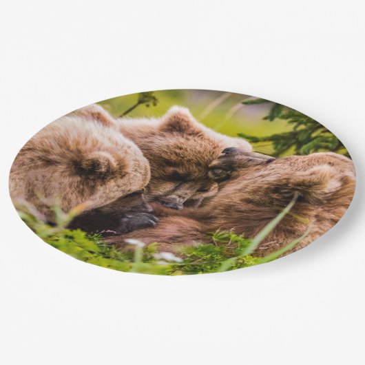 Assiettes En Carton Mama bear nourrit ses deux petits, Lake Clark Nati (Angle)
