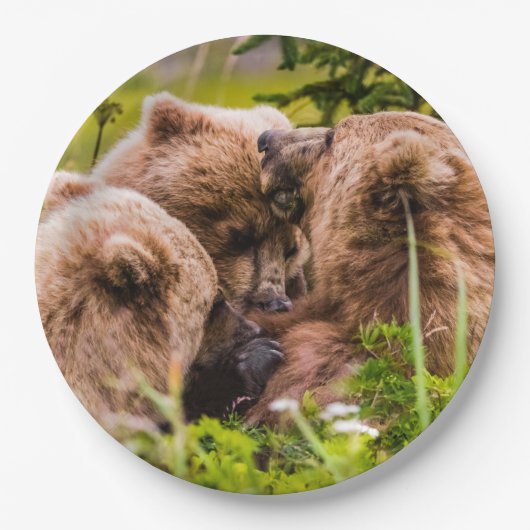 Assiettes En Carton Mama bear nourrit ses deux petits, Lake Clark Nati (Devant)